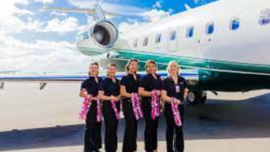 air service hawaii details