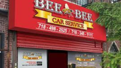 bee bee car service details