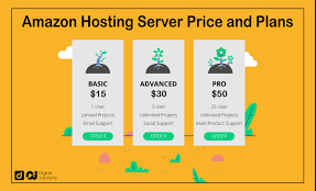 aws web hosting cost